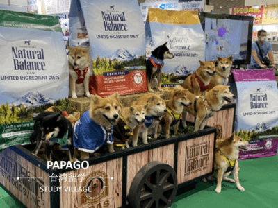 ペットフェア 1