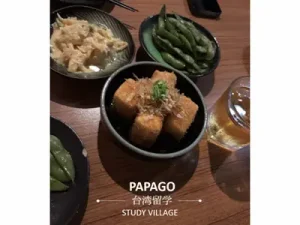揚げ豆腐 1